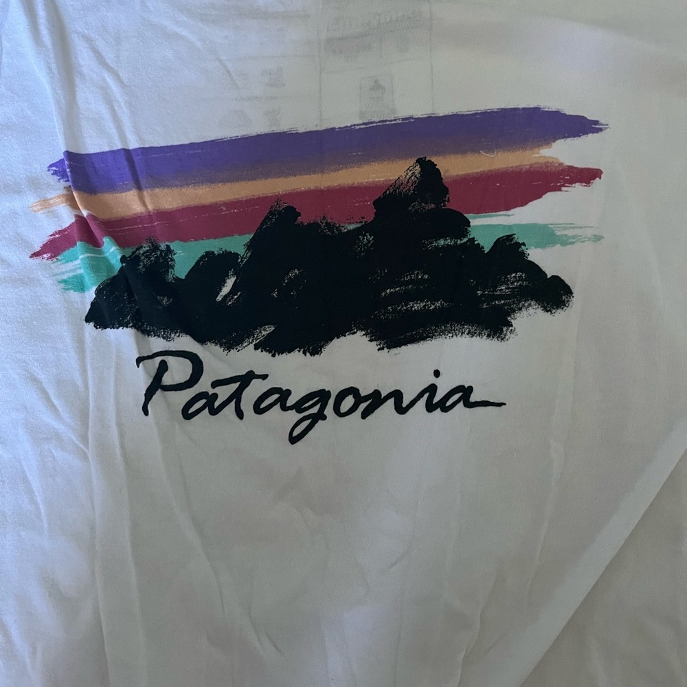 Patagonia t shirt